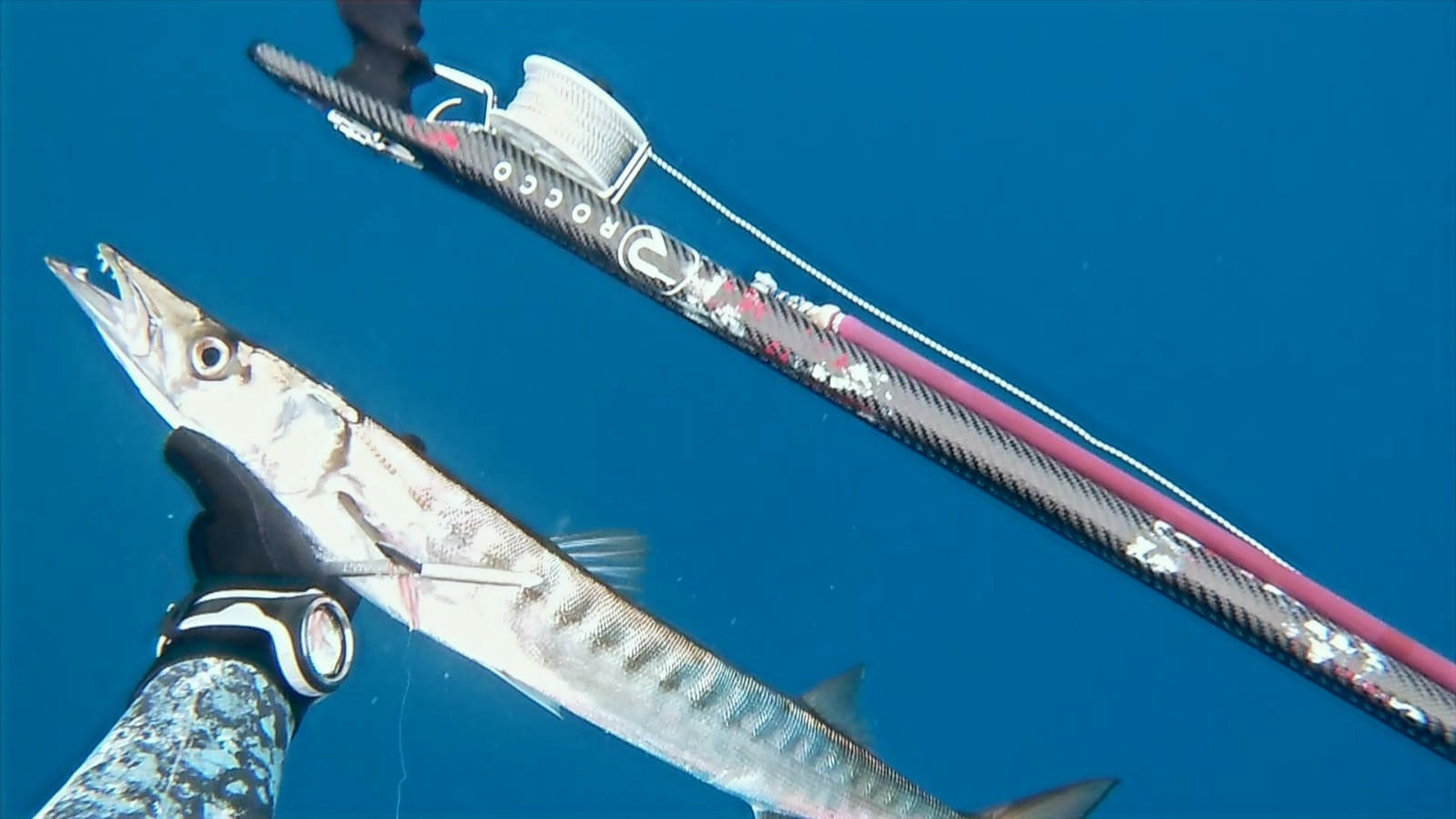 Pescador con una captura y un fusil Rocco